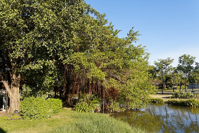 Promenade à Suan Luang avec Potter-012